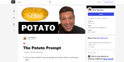 The Potato Prompt