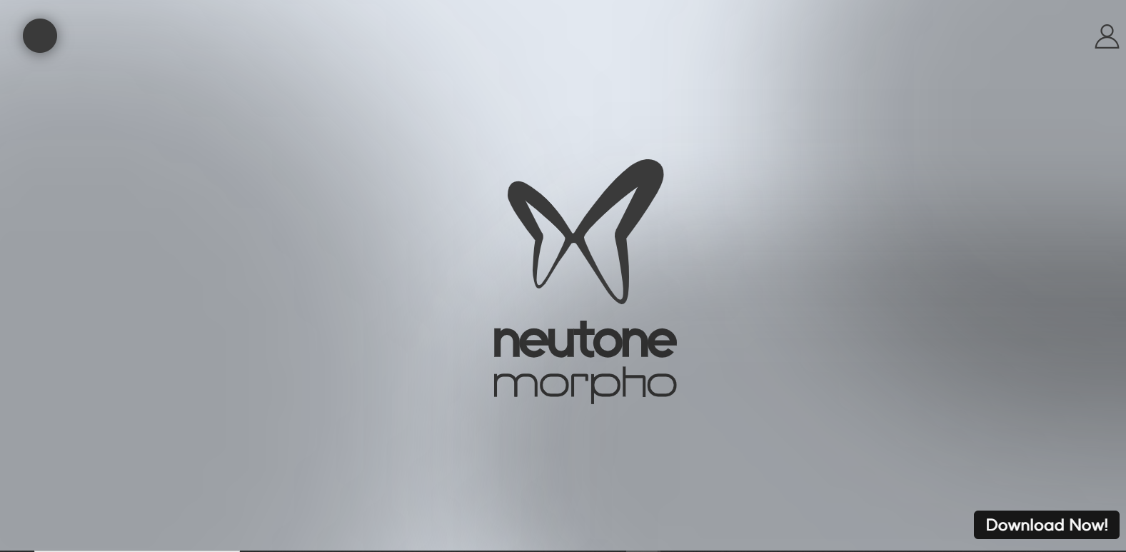 Neutone Morpho